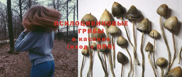 спайс Абинск